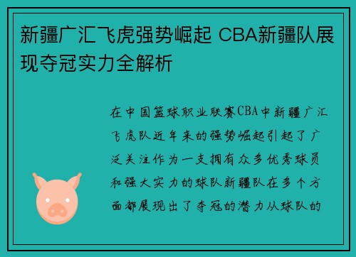 新疆广汇飞虎强势崛起 CBA新疆队展现夺冠实力全解析